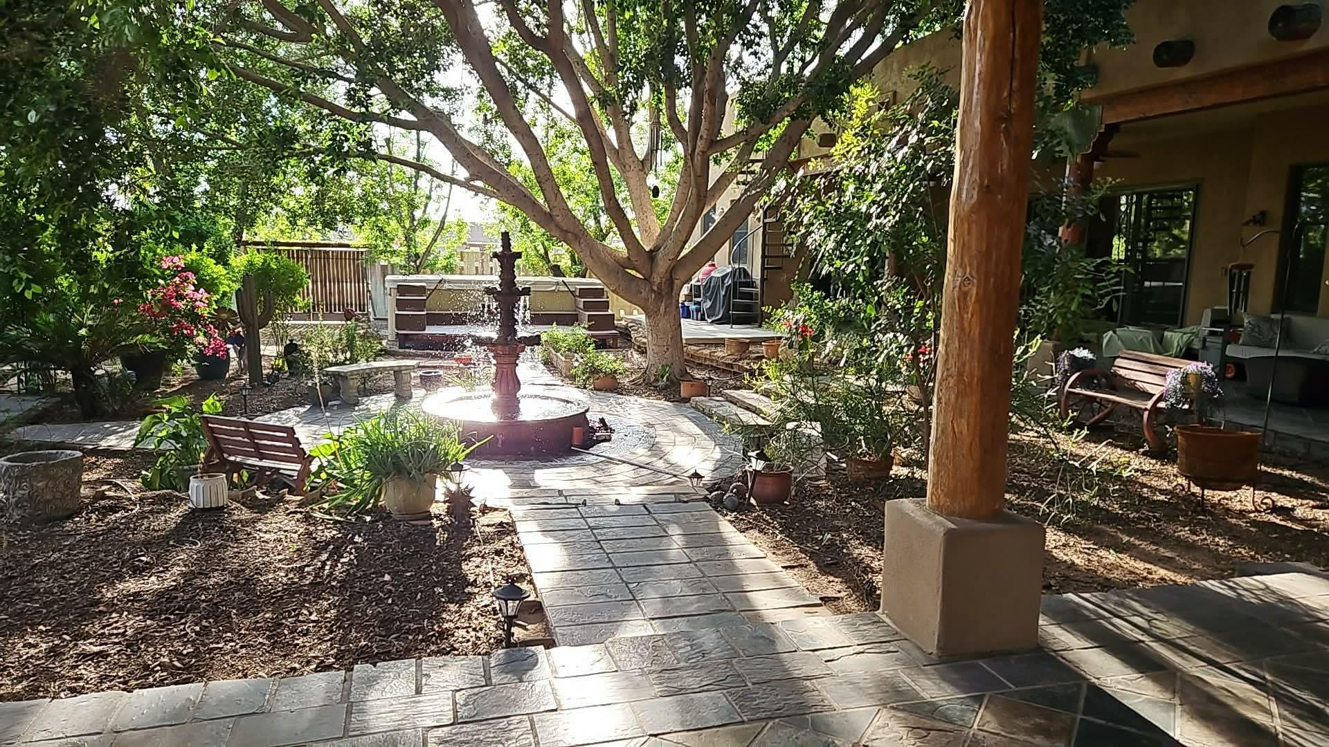 courtyard in the afternoon. citrus trees right there!