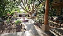 courtyard in the afternoon. citrus trees right there!