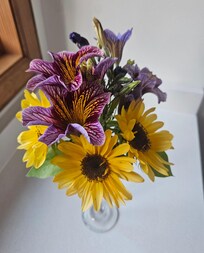 Flowers I picked from Full Bloom Farm