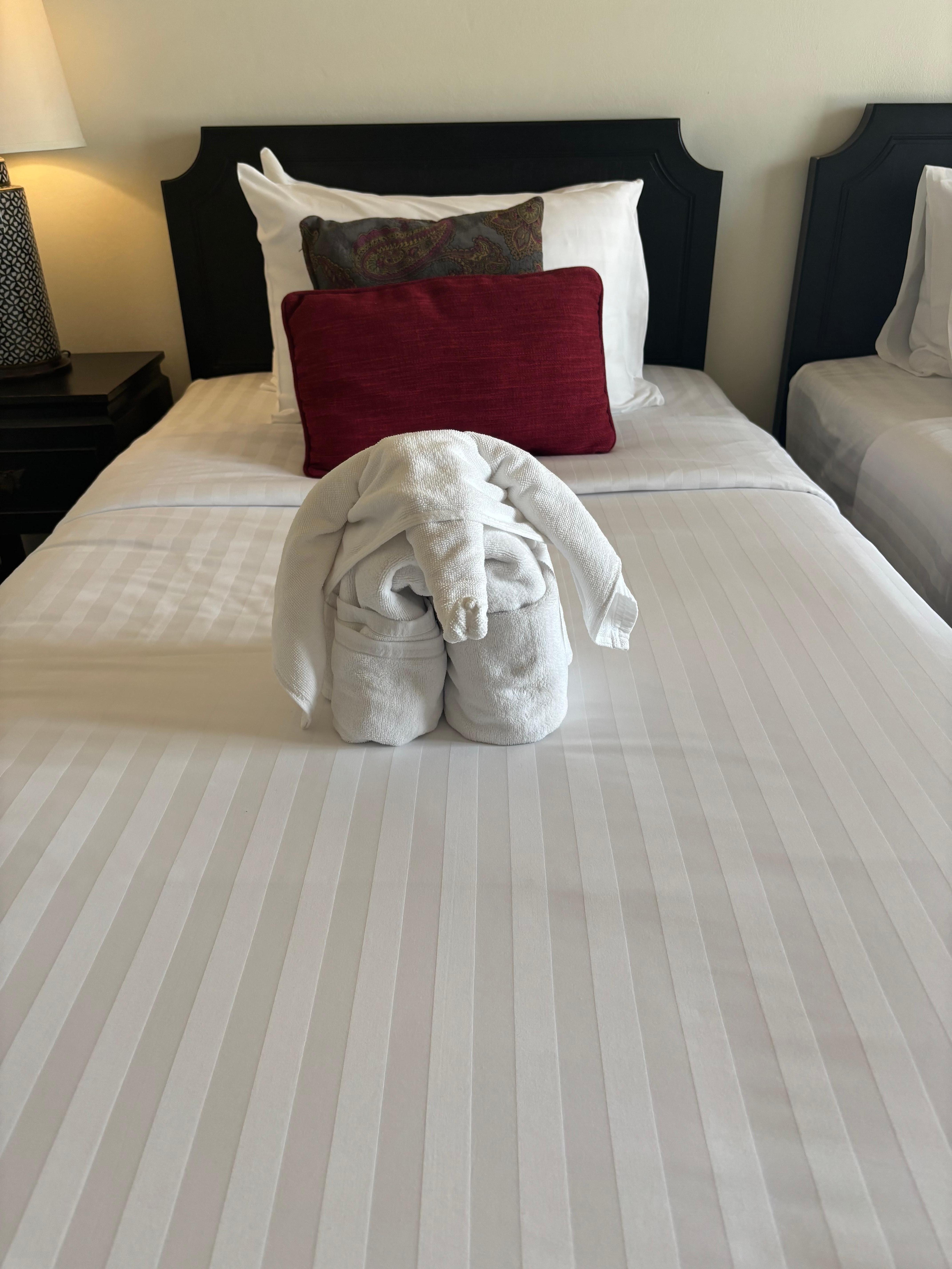 ゾウさんがお出迎え