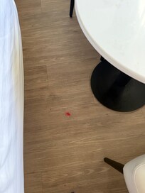 Some food on the floor of our room at check in