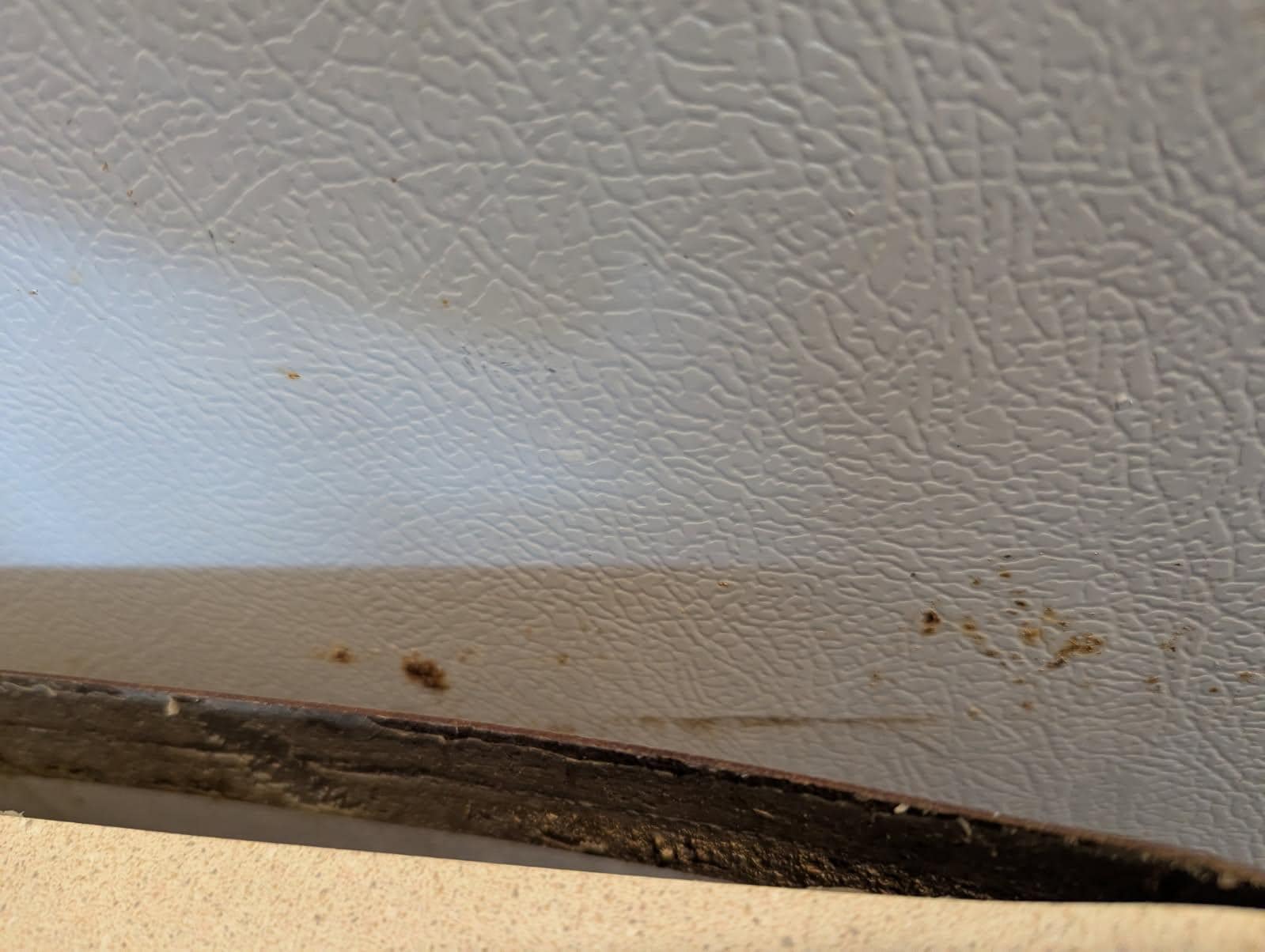 Laminate coming off the countertop.  Dirty fridge