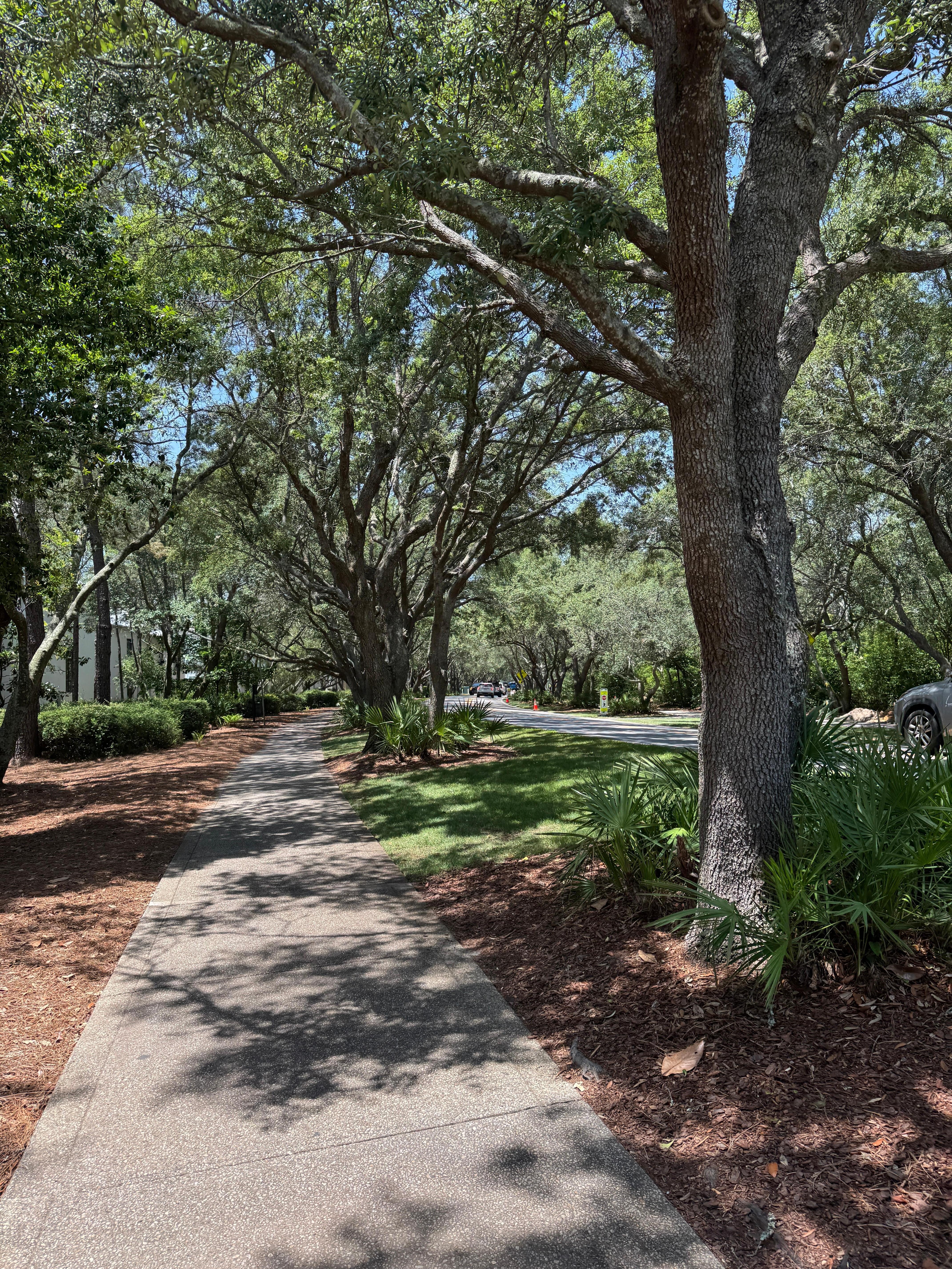 Quick walk or bike ride to Rosemary Beach
