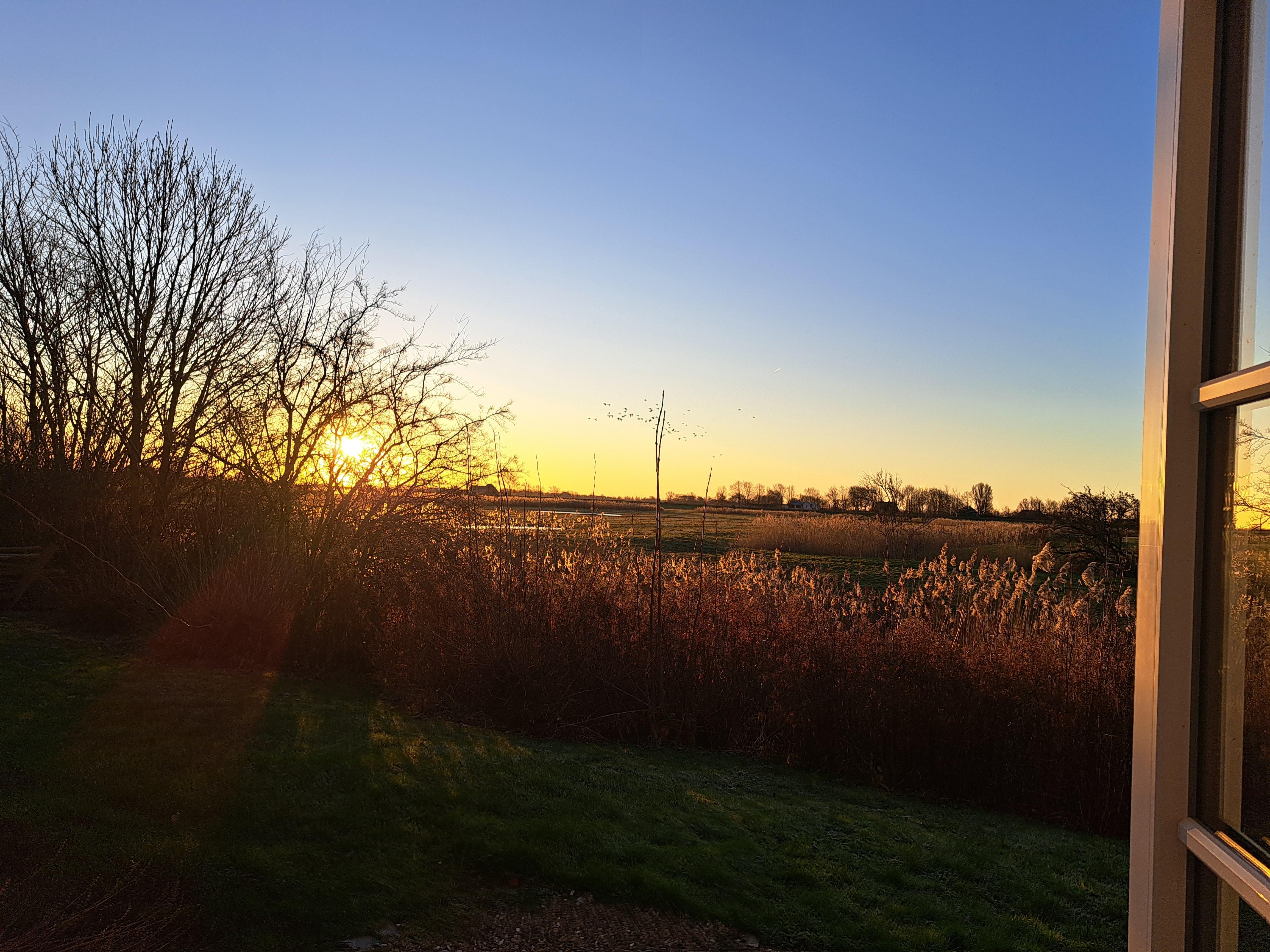 Blick aus dem Wohnzimmer am Morgen