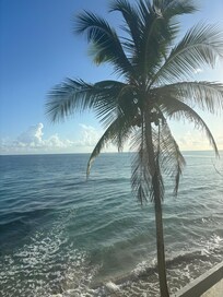Ocean front view