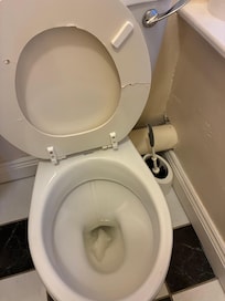 Broken toilet seat