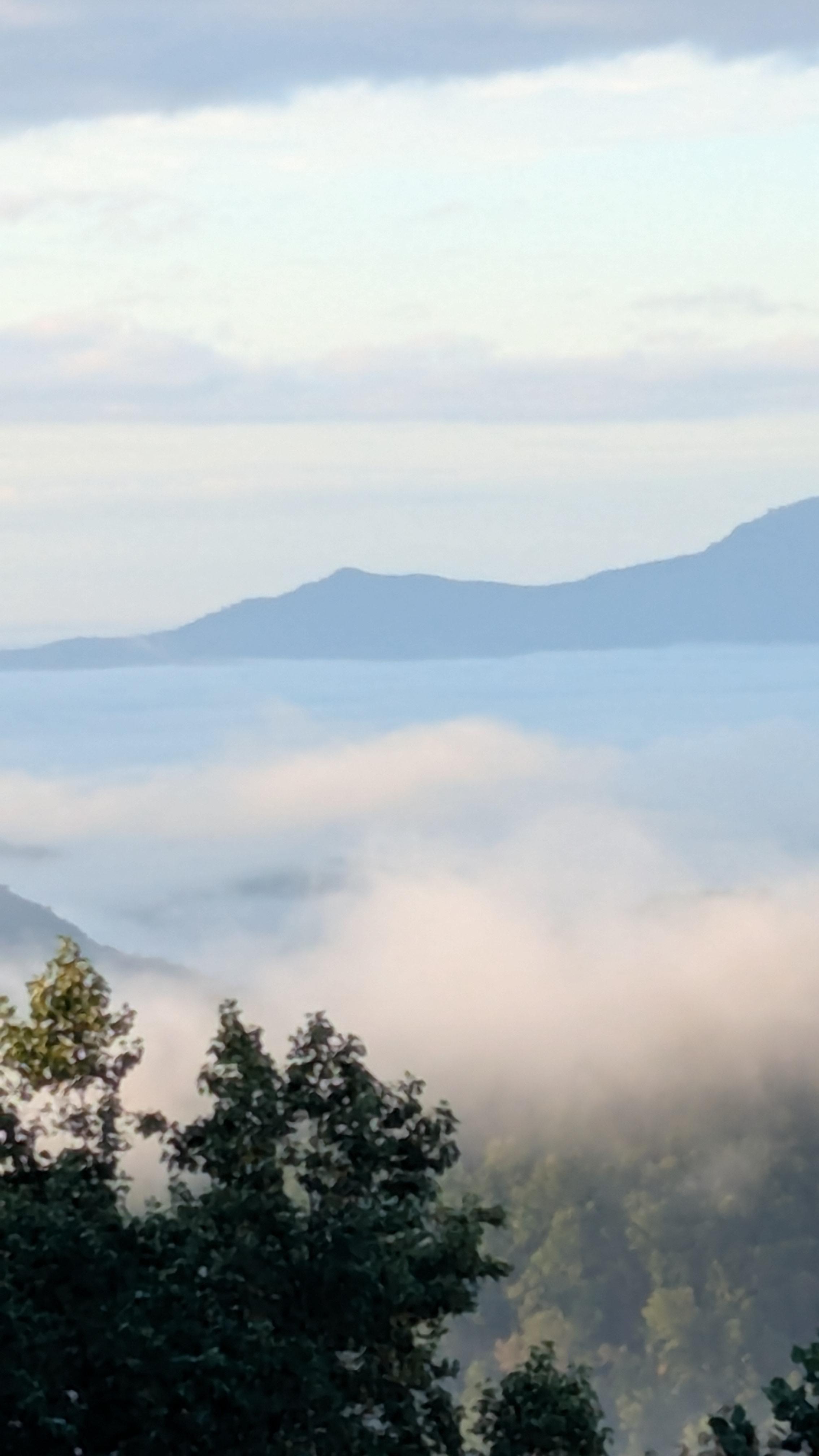 beautiful morning view over the tree side mountain
