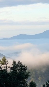 beautiful morning view over the tree side mountain