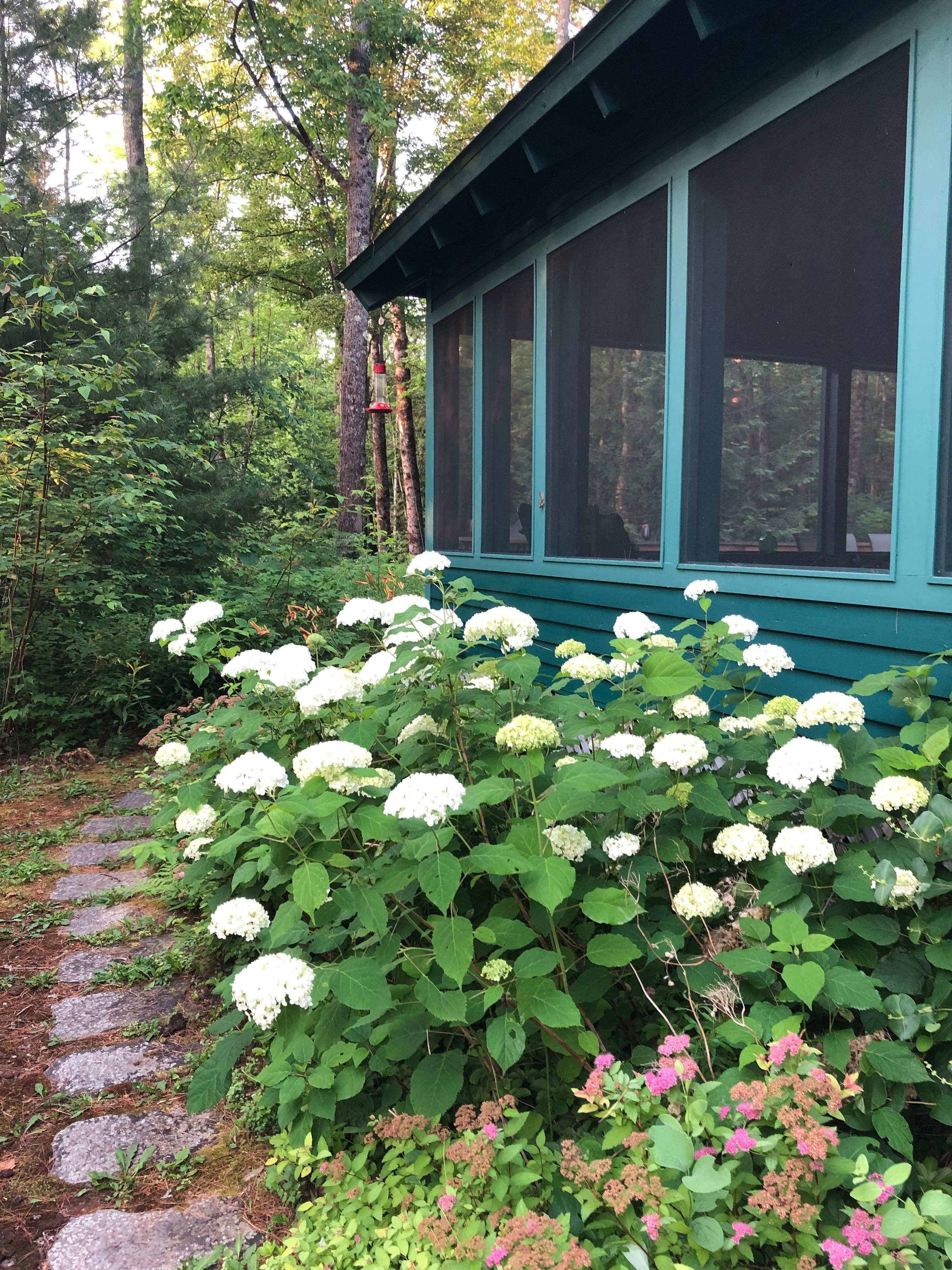 Screened porch nestled among plants