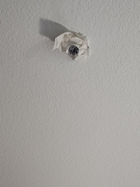 Sprinkler system still not finished