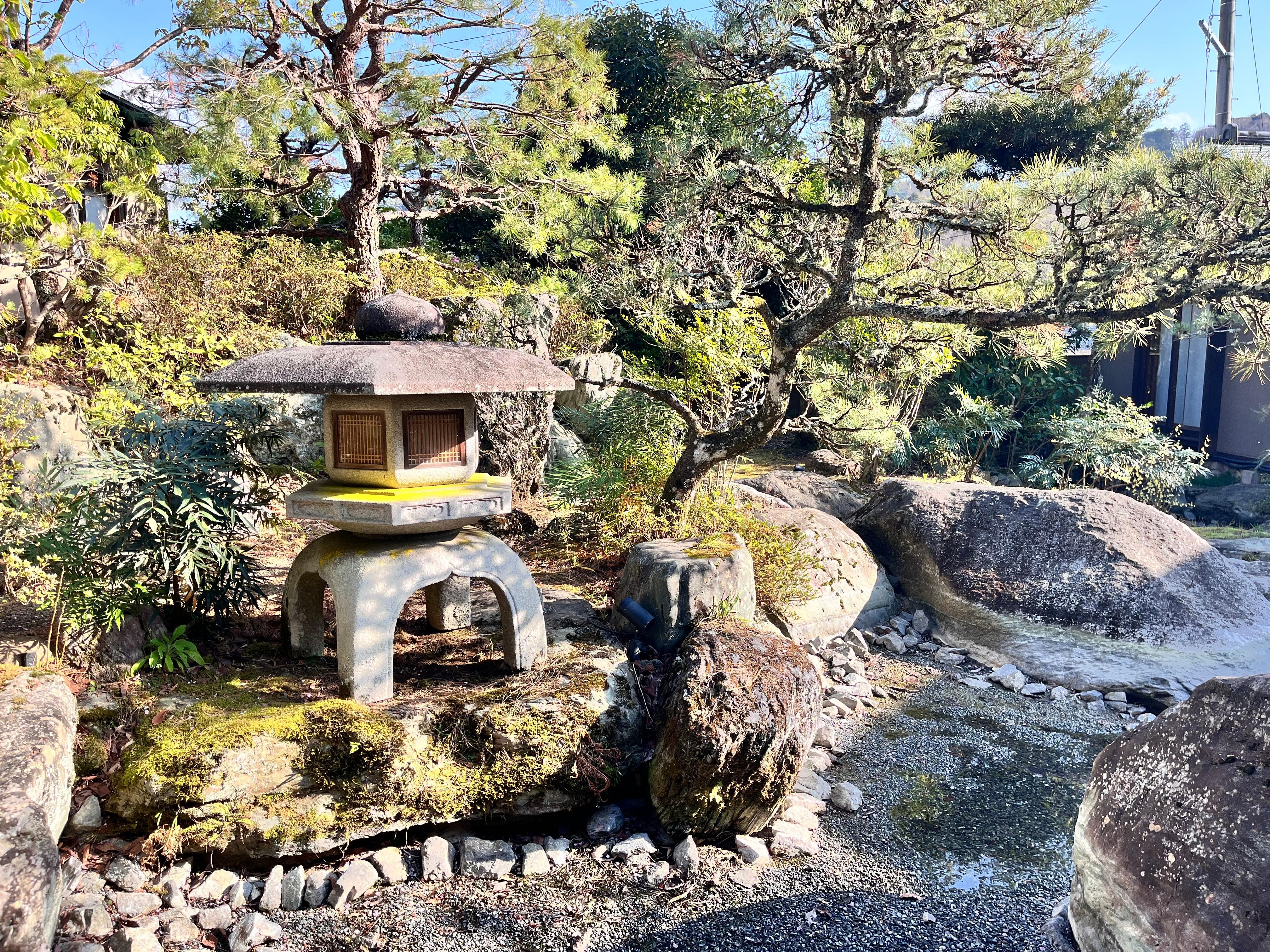 縁側から見える庭の風景