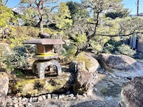 縁側から見える庭の風景