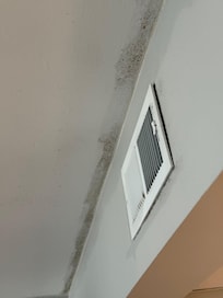 Visible mold all over the ceiling areas