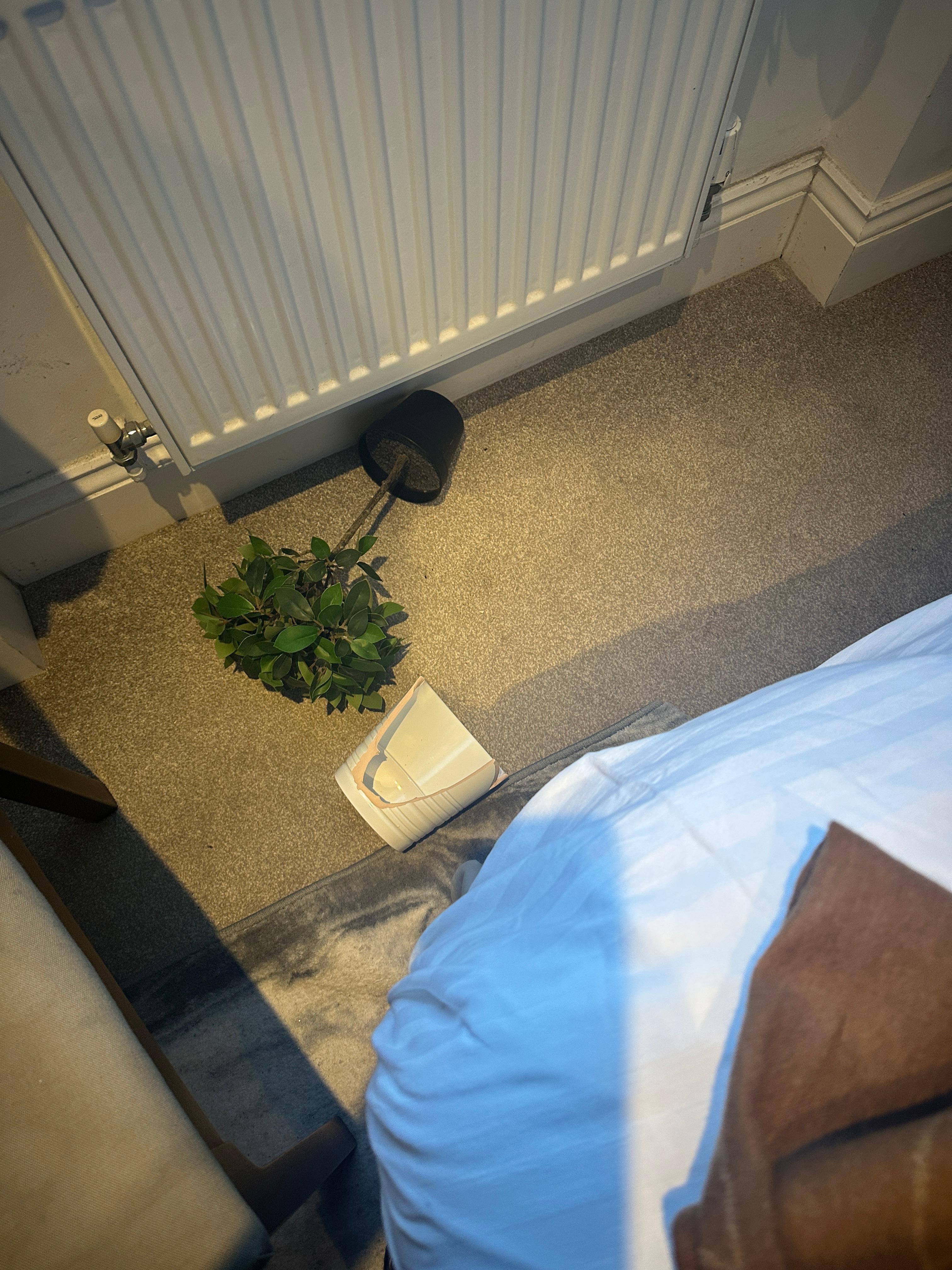 This is what fell directly onto my husbands shoulder, due to negligent placing and crap furniture