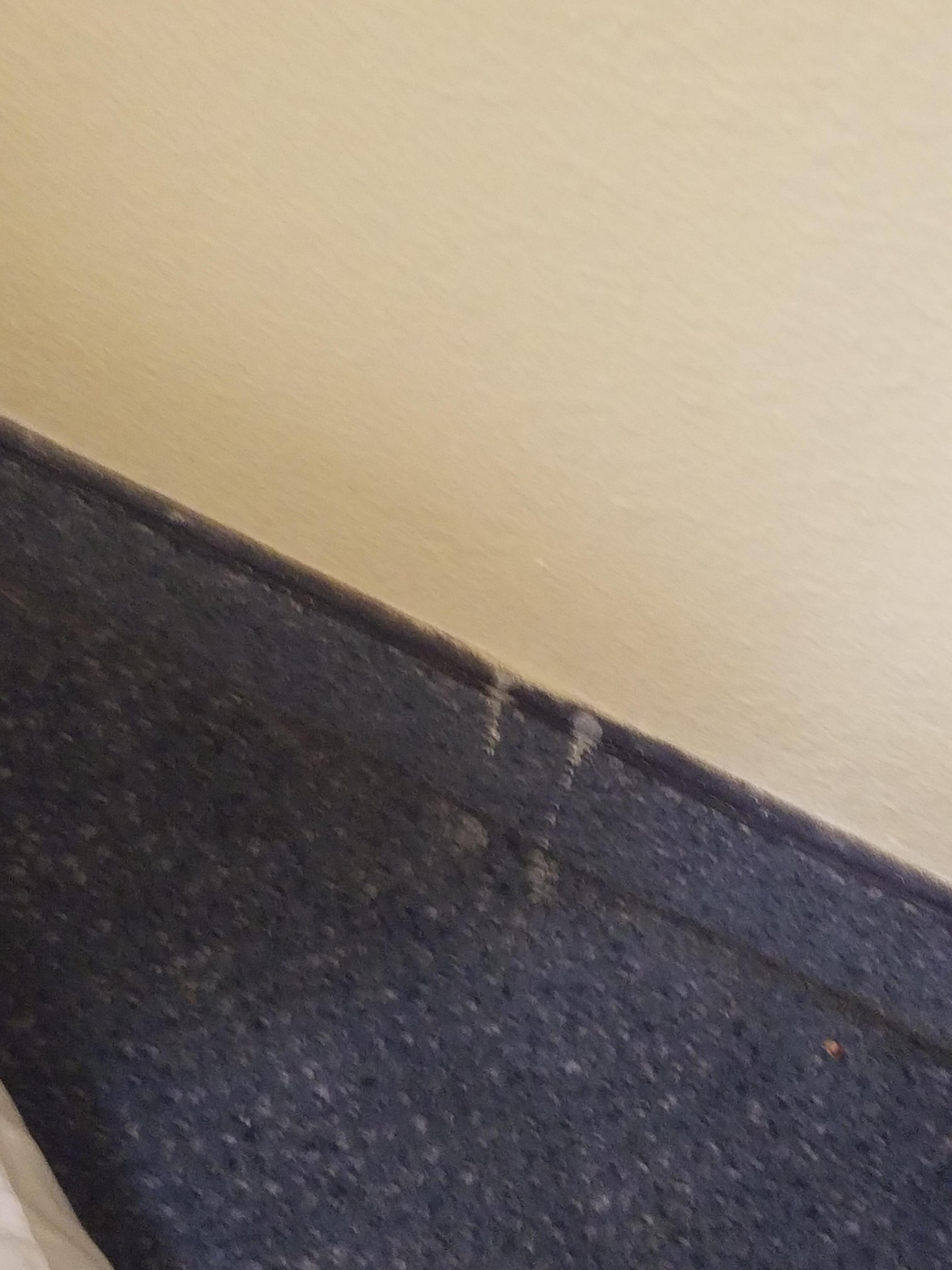 Stains on floor