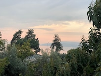 View from room window