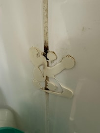 All the Bathroom has Mold