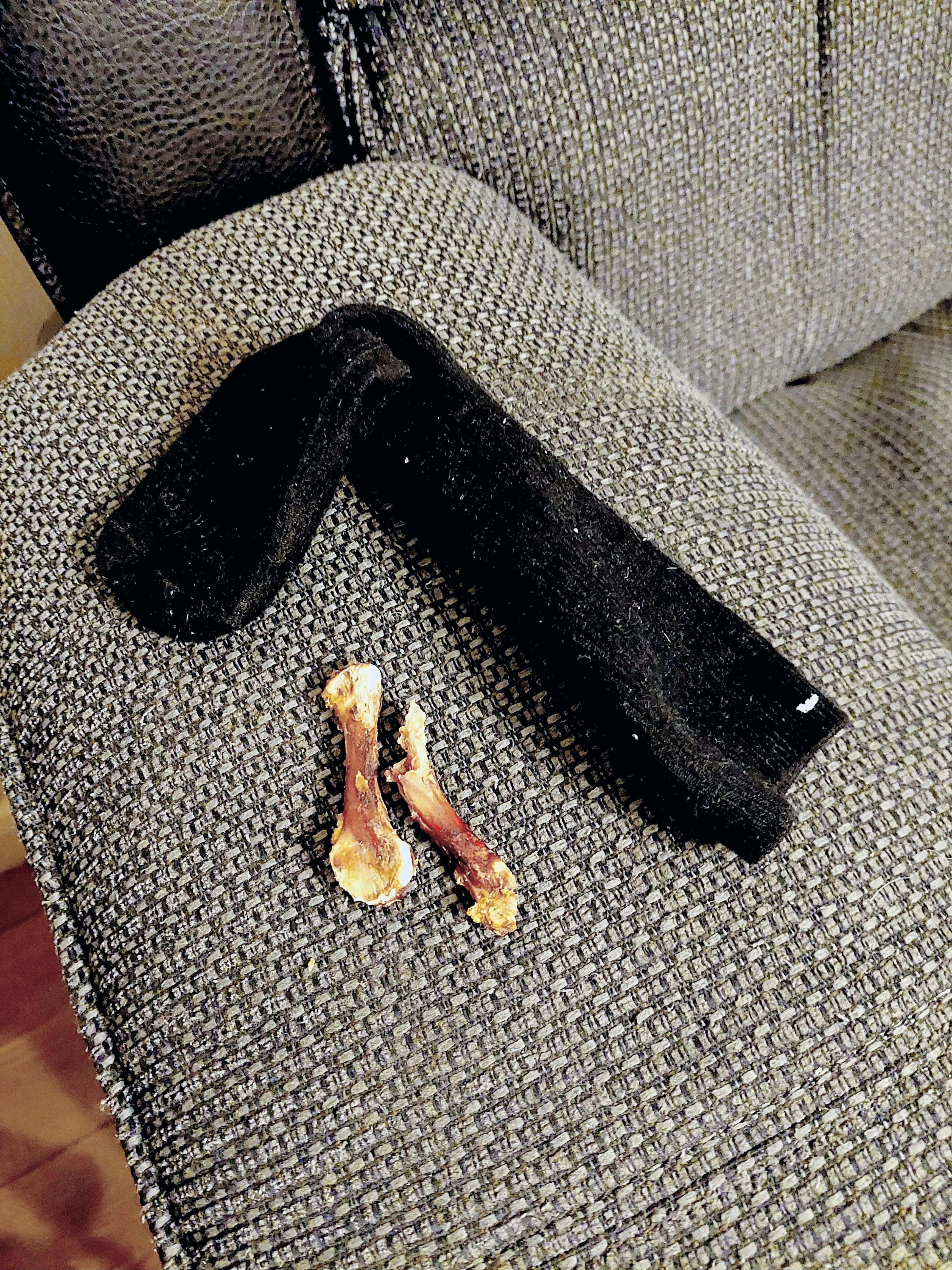 Chicken bones and filthy sock found just peeping out from under the sofa.