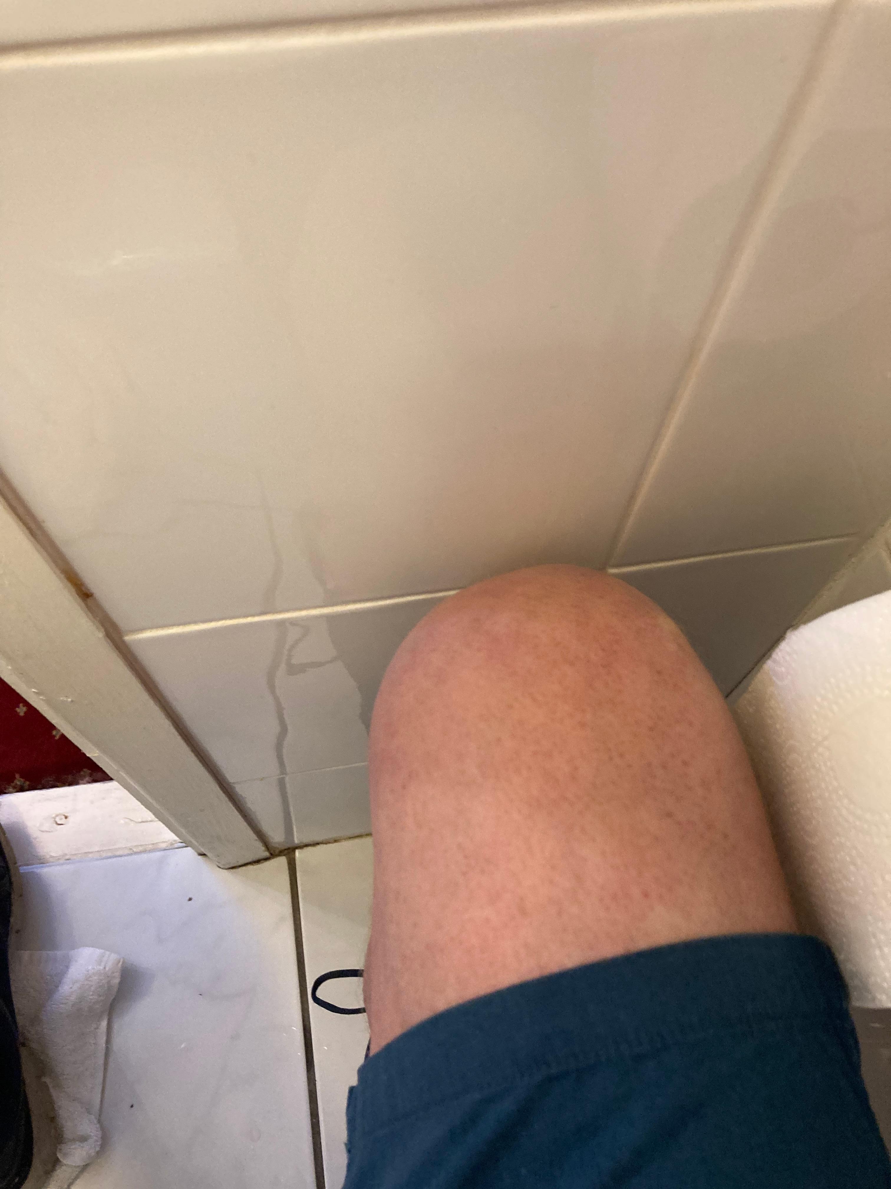 If you sat on the toilet you’re knees hit the wall 