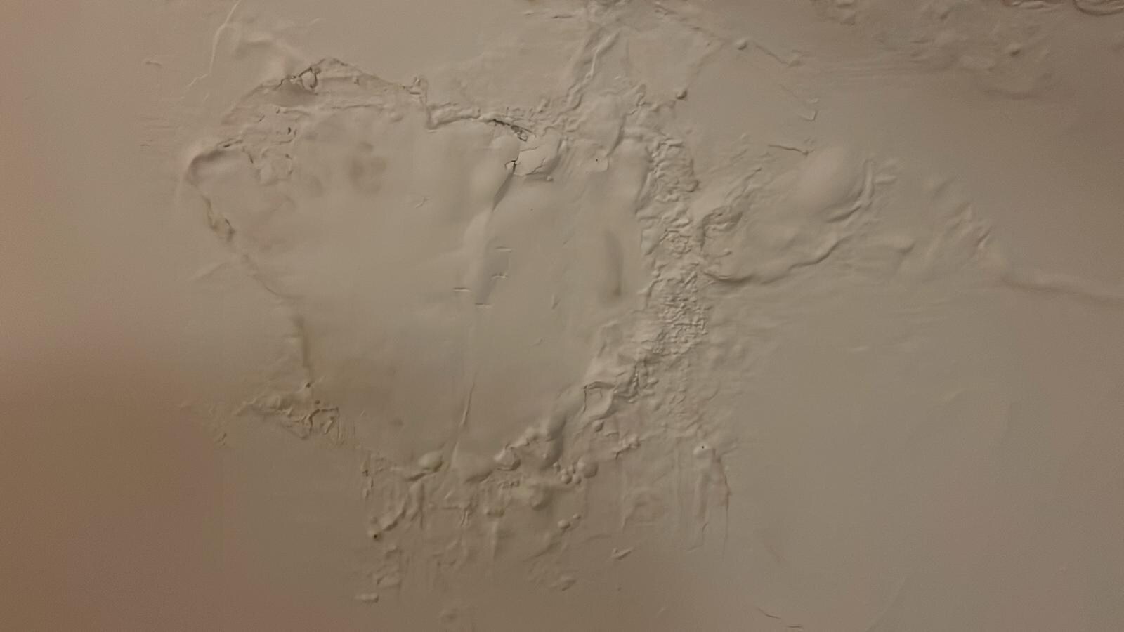 Ceiling Damp