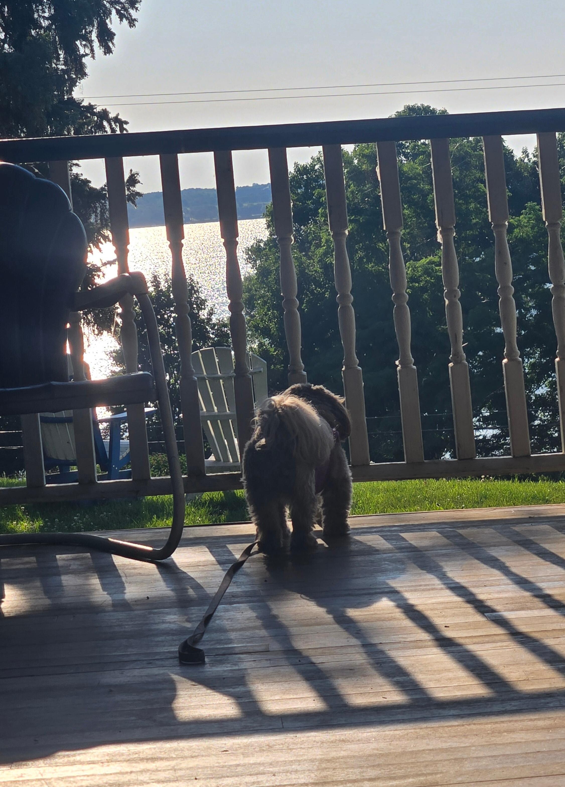 Morning coffee on the porch 