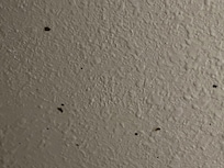Another look at poop on bathrooms wall