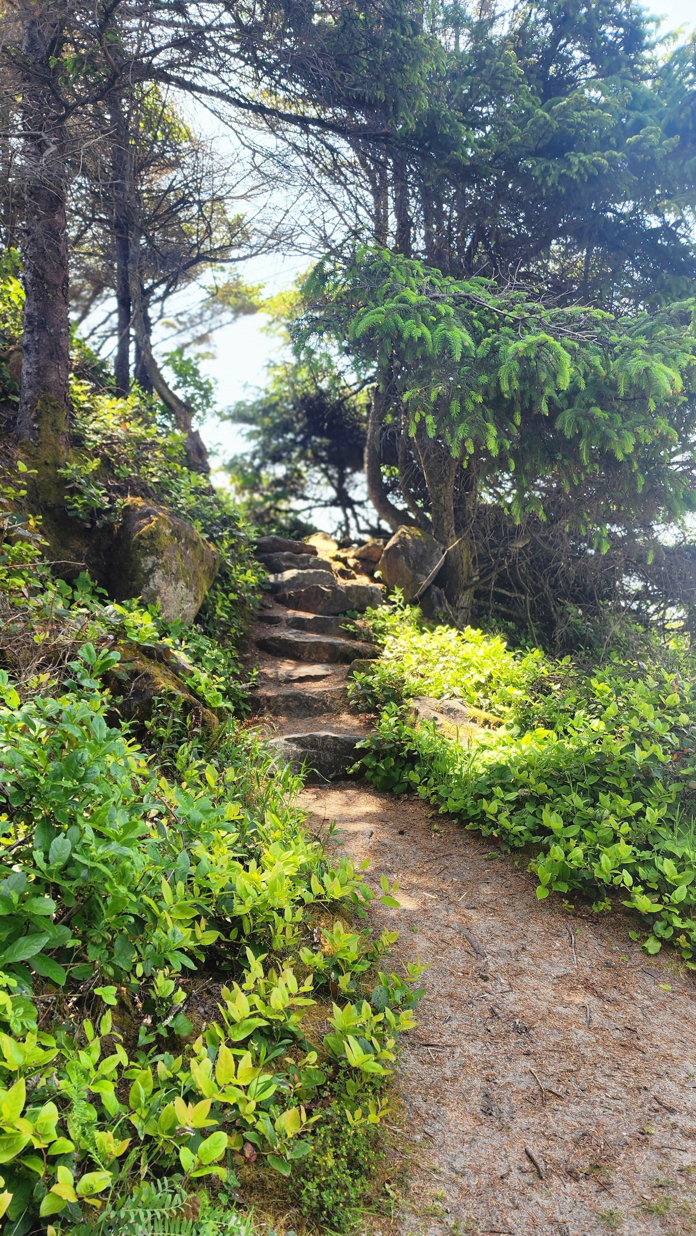 From nearby park