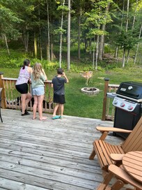 Enjoying the deck