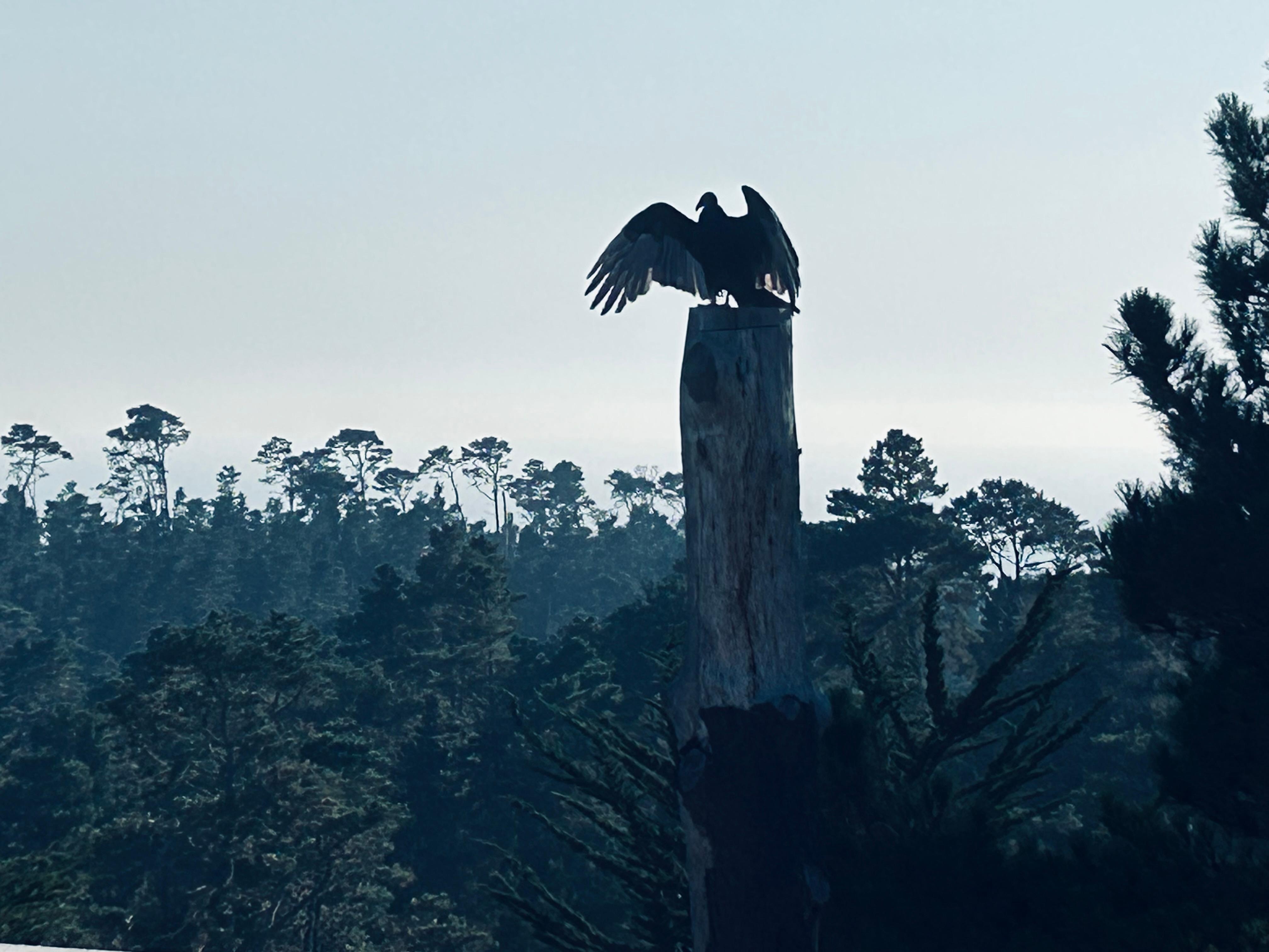 Our Happy Hour visitor