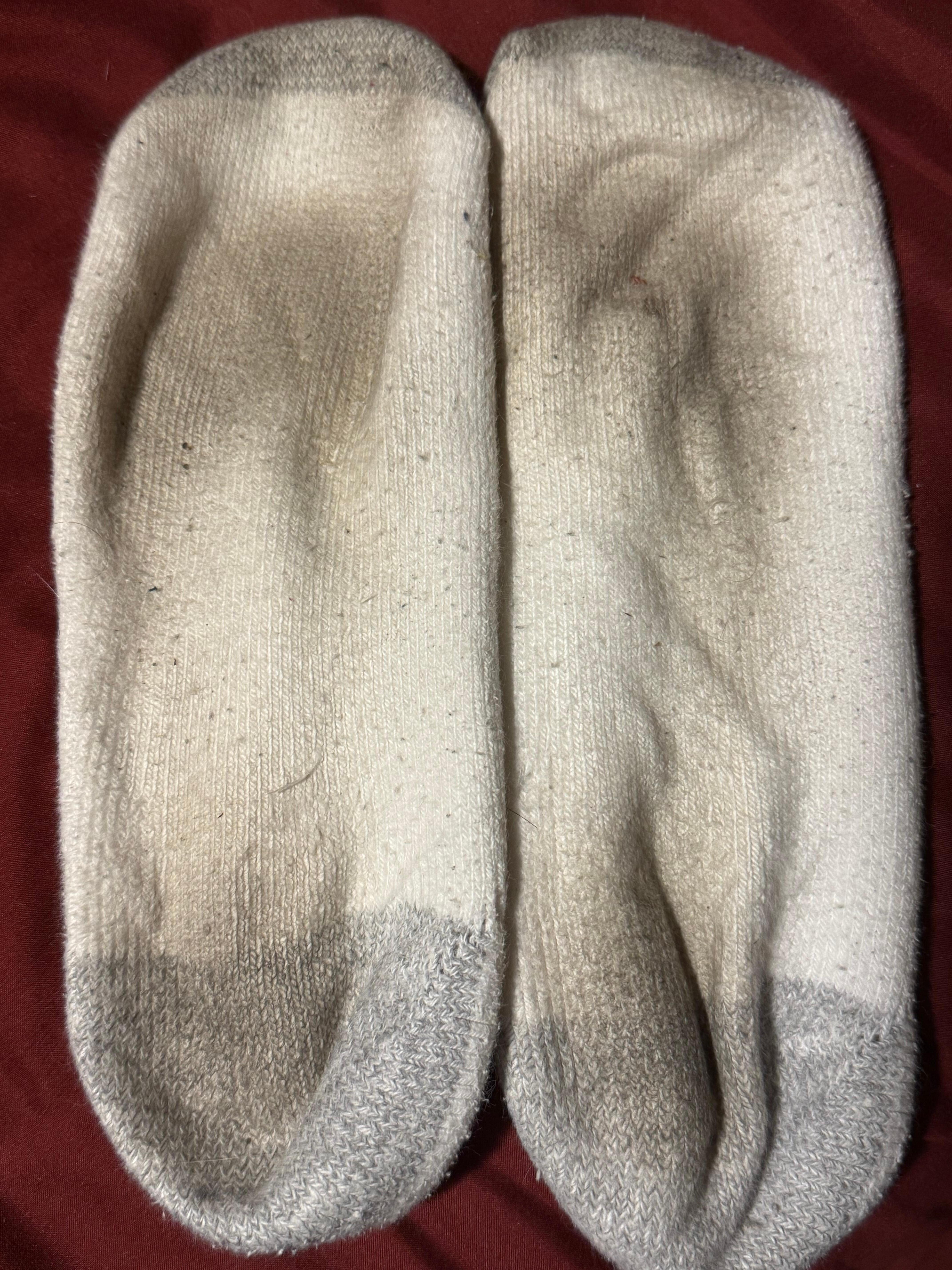 Floors were filthy. I noticed my feet in the shower and wore socks in the room all the time after. This how dirty they got. Large bug under the fridge but looked like a grasshopper or cricket. At night Outdoor halls had cockroaches though.