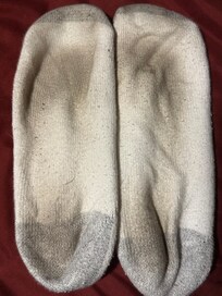 Floors were filthy. I noticed my feet in the shower and wore socks in the room all the time after. This how dirty they got. Large bug under the fridge but looked like a grasshopper or cricket. At night Outdoor halls had cockroaches though.