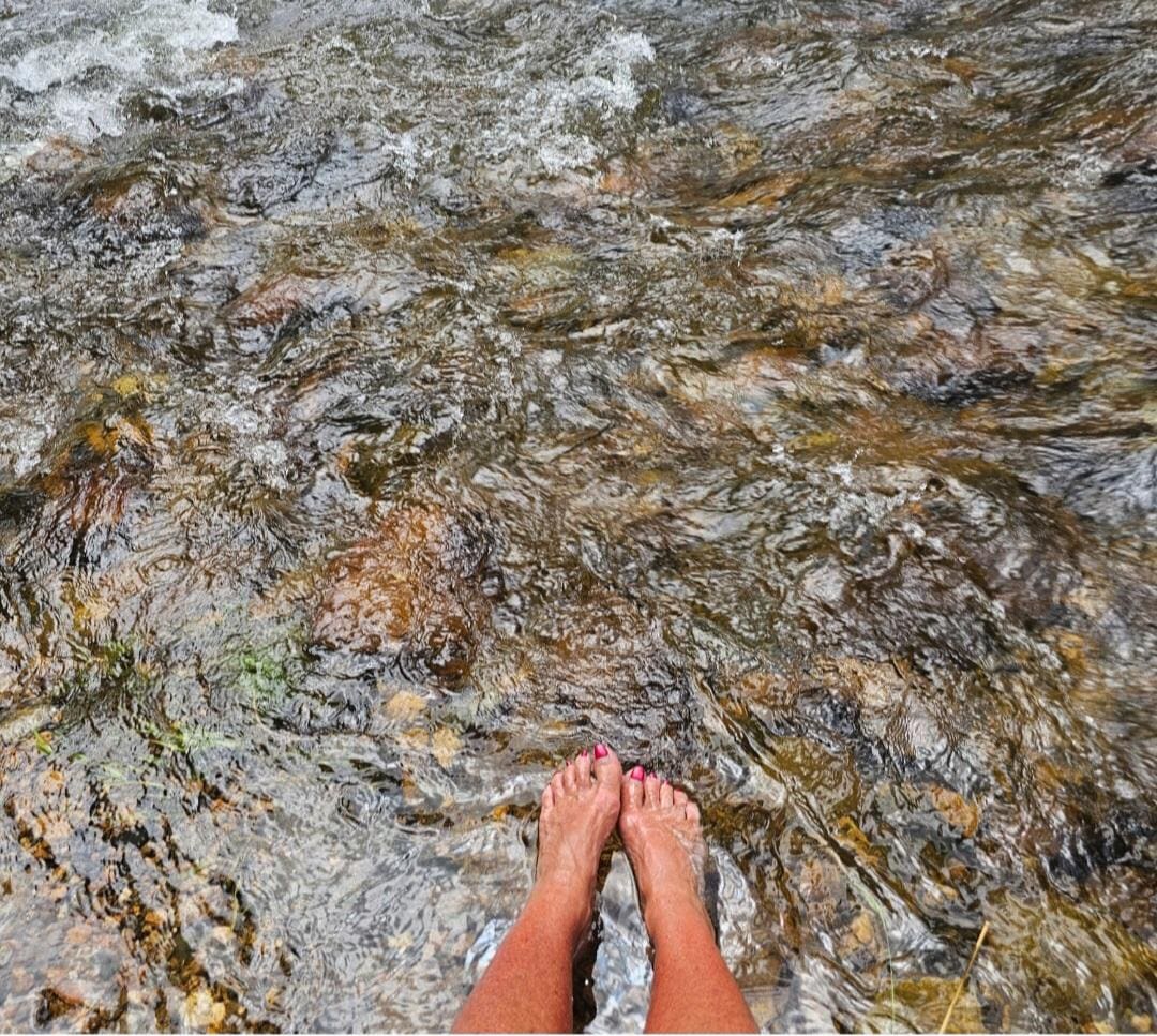 Stream next to cabin.