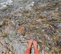 Stream next to cabin.