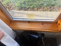 Dead bugs throughout