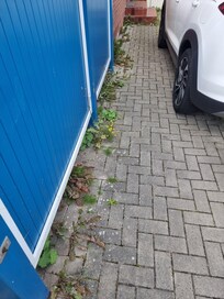 Hof, Weg zum Eingang