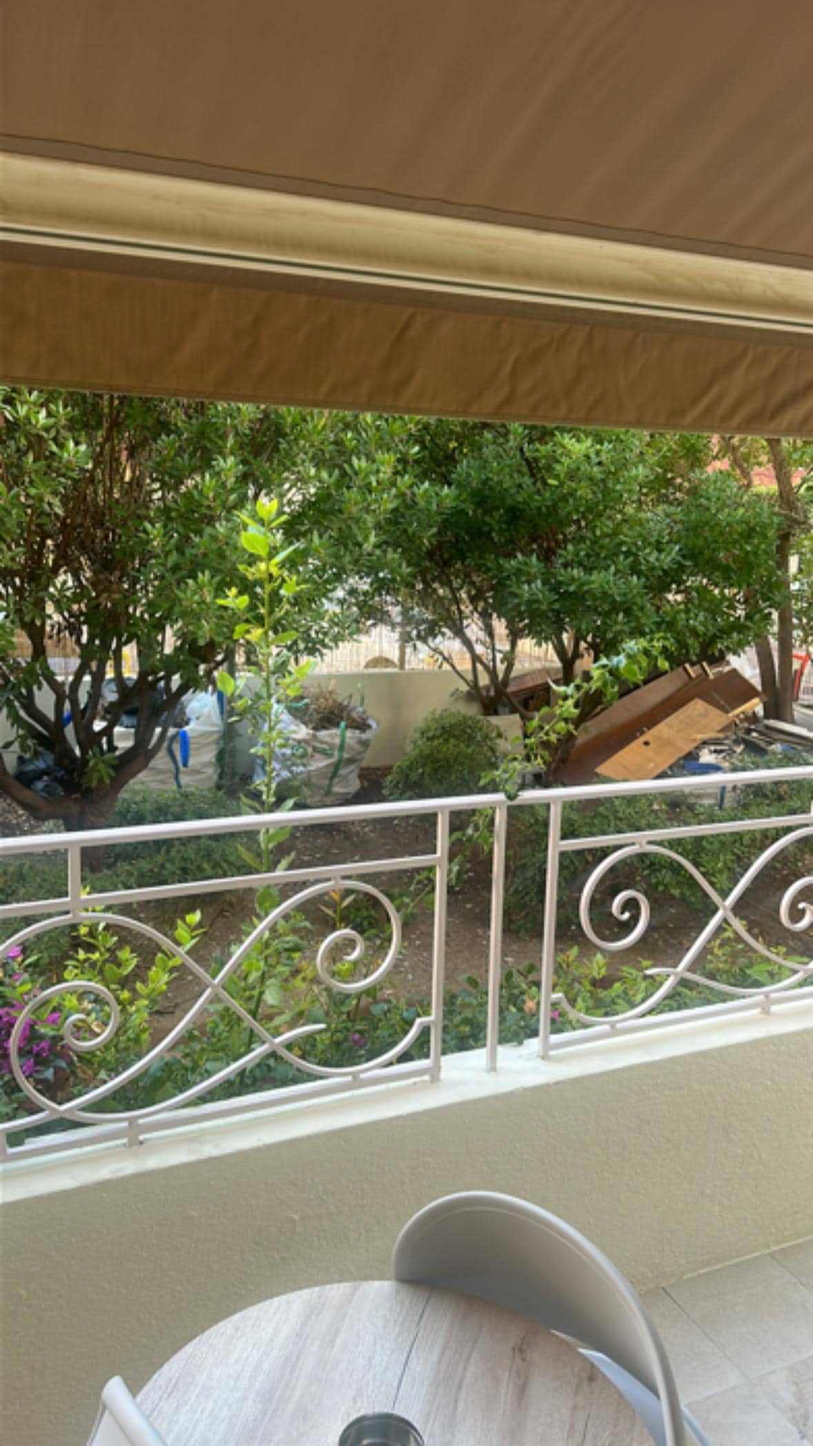 View of Trash and debris. Unkept garden. 