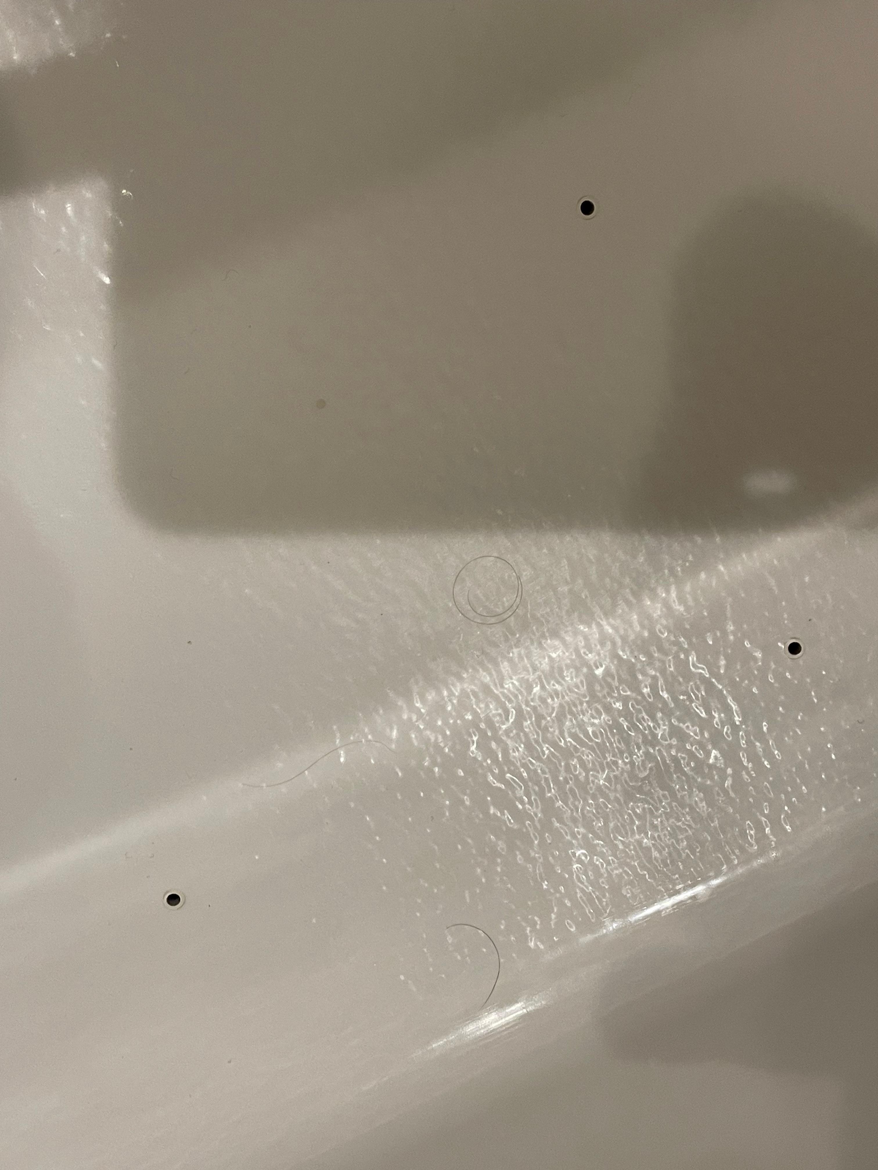 If you make it larger you see three hairs in tub there was also dirt 