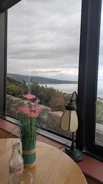 View from bar