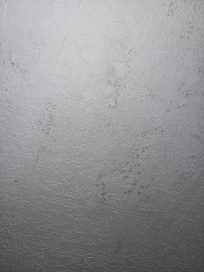 Mold on the ceiling