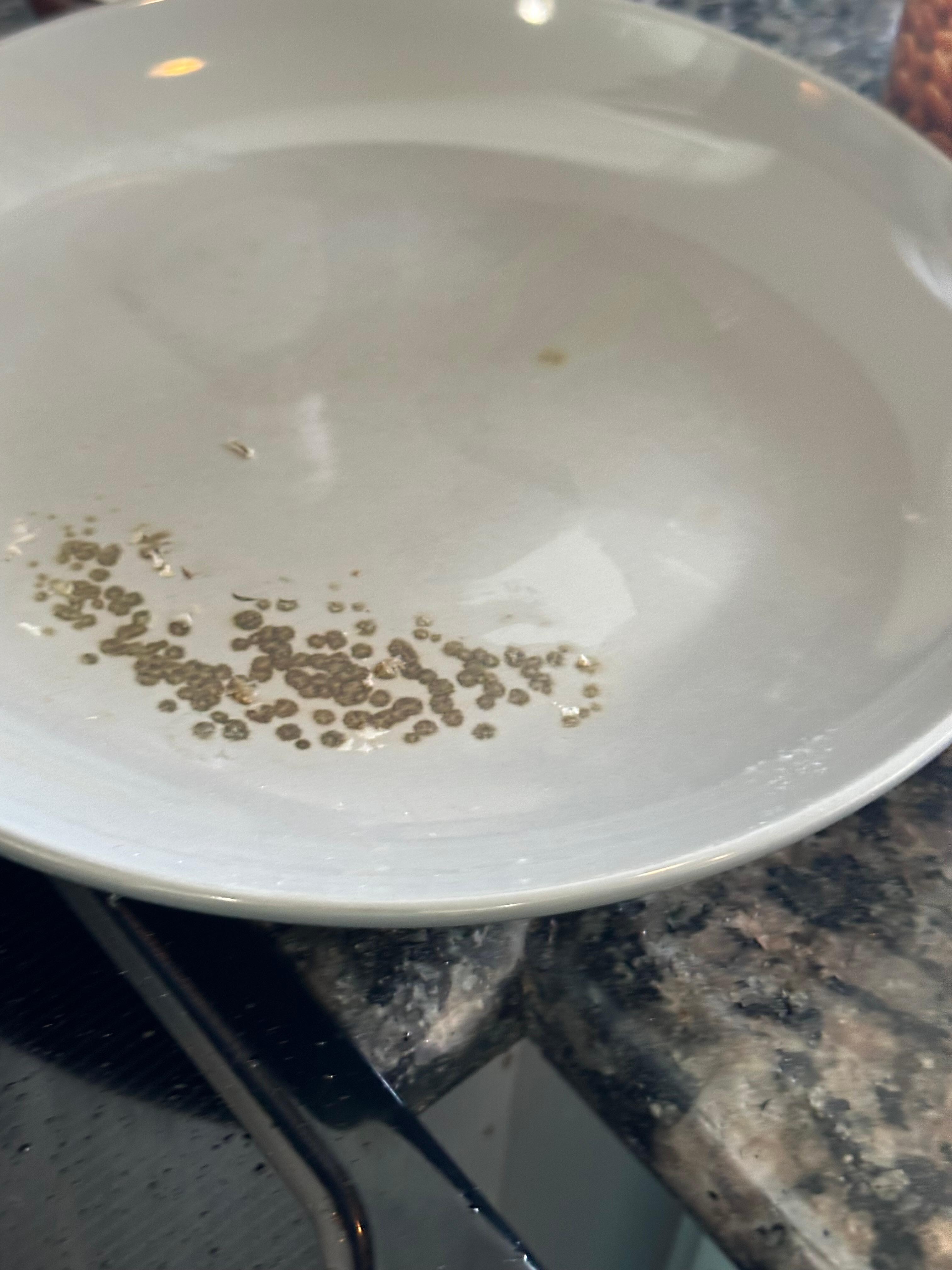 Disgusting moldy dishes 