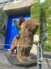 Our dog out front! Lol