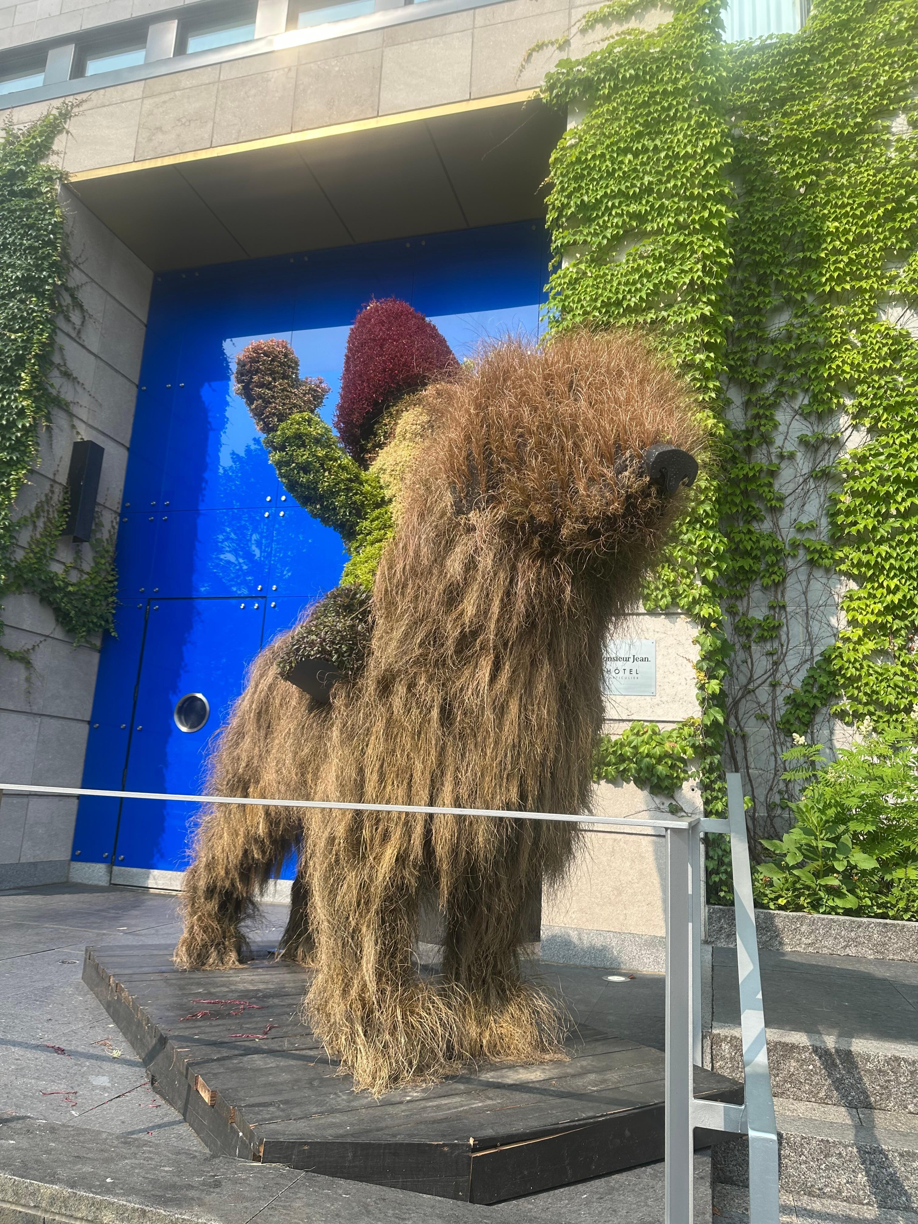 Our dog out front! Lol 