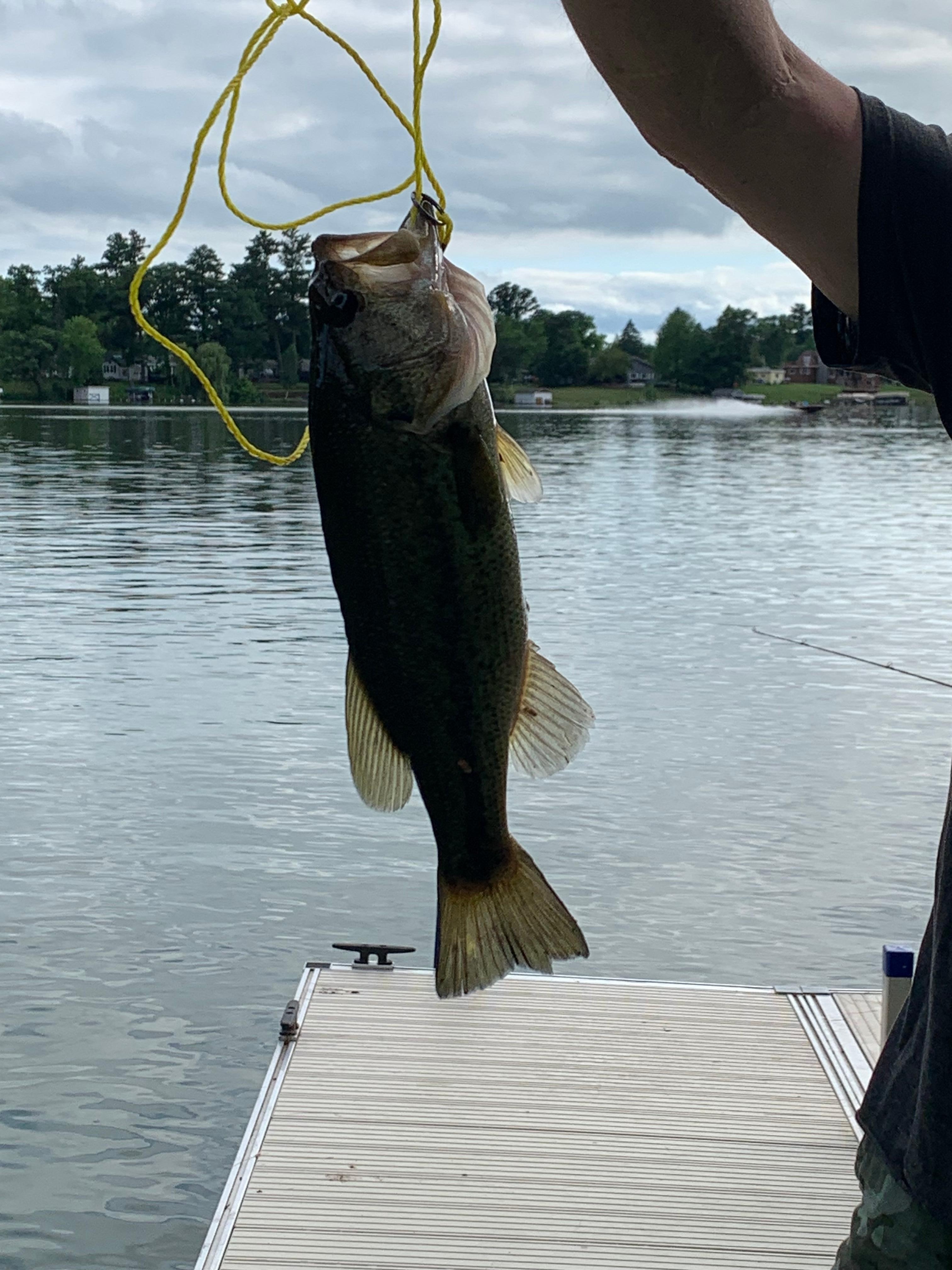 Nice bass my daughter caught. 