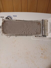Dryer lint screen