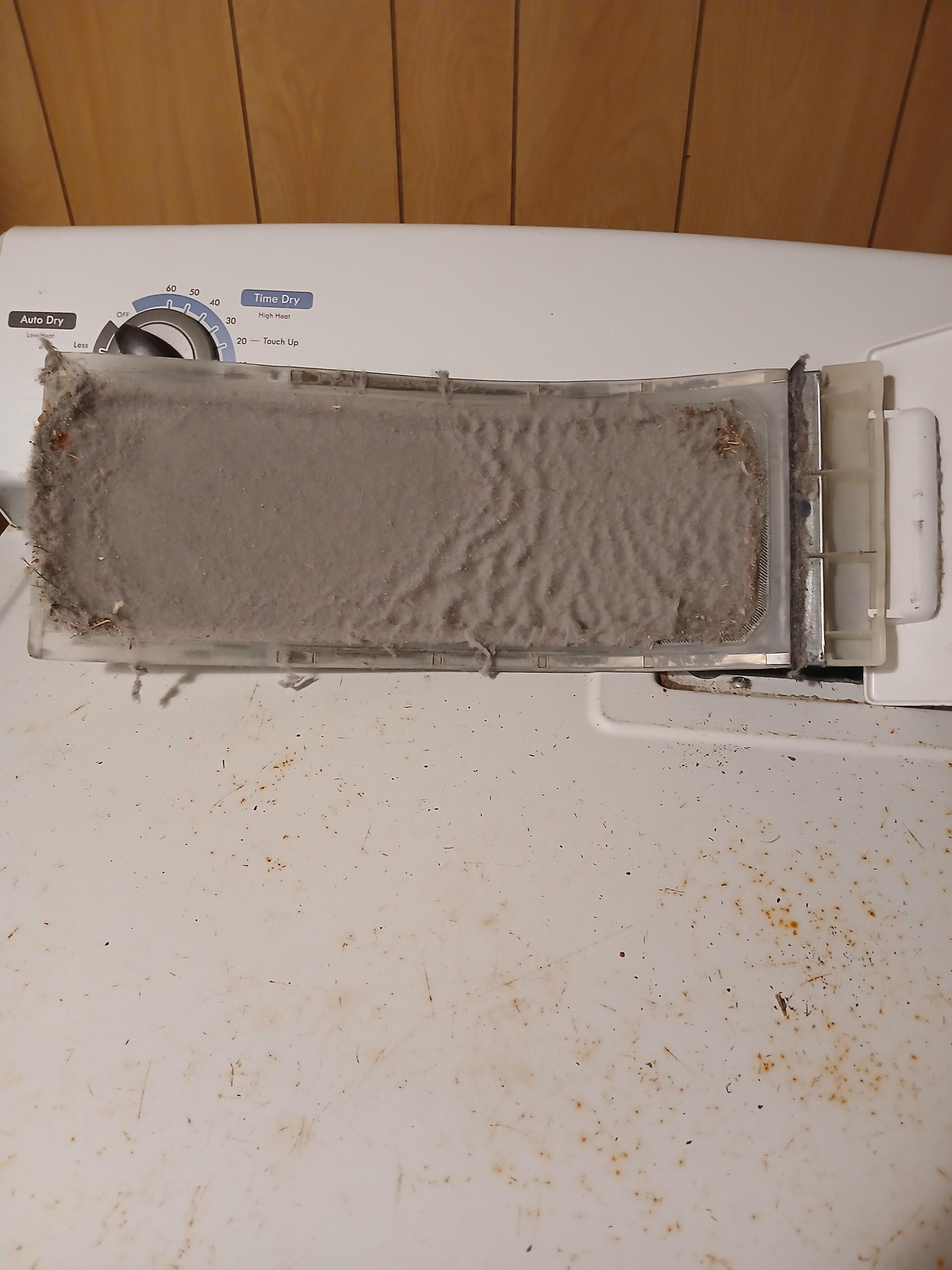 Dryer lint screen