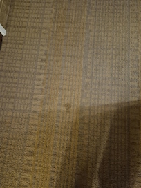 Stained carpet