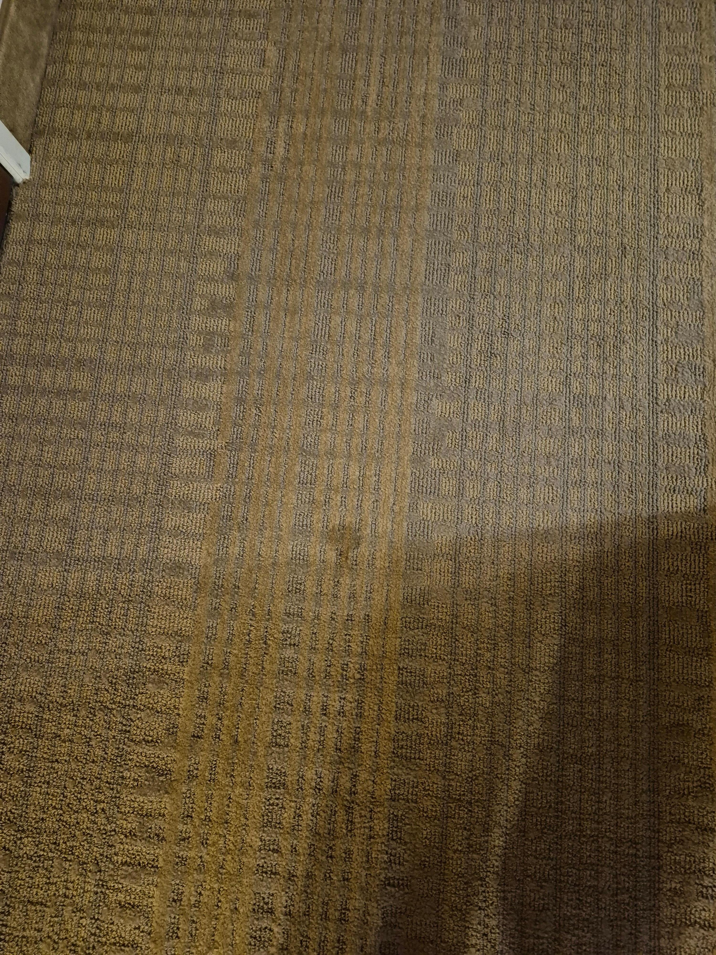 Stained carpet