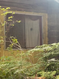 Next door property