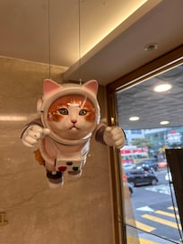 This might be hotel’s mascot ❤️