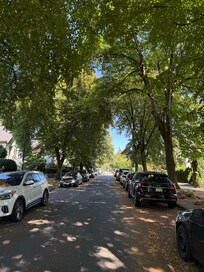 Great Canopy!